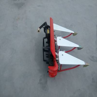 ʥ³ ʽǰýոո 180һߵɹ