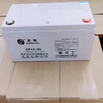 ʥ SP12-100 12V100AH ݿվźŵǦά