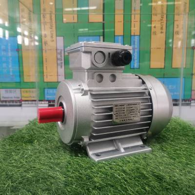 德东电机YS7132高速0.75KW小功率铝壳电机 洗车机电动机烘箱
