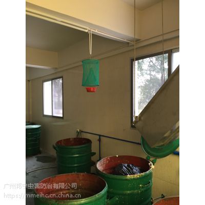 天河区杀虫公司，工厂杀虫公司
