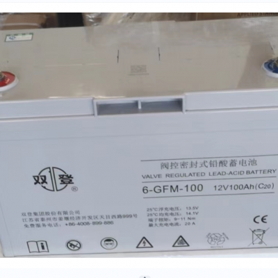 ˫Ǧ6-GFM-100 12V100AH (C20)