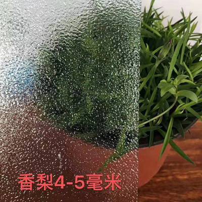香梨压花玻璃超白/普白温室大棚散射玻璃97.5%透光可钢化定制