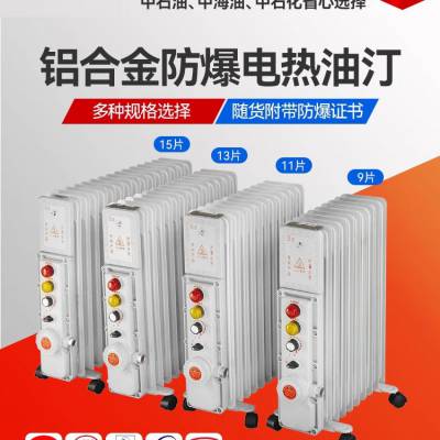 防爆电加热器 油汀加热器危险化工场所化学品实验室1.5-3kw