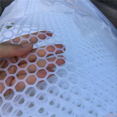 养殖塑料平网 汽车靠垫塑料平网 绿色塑料平网