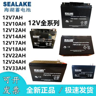 SEALAKE海湖蓄电池FM122000 12V200AH直流屏工业设备代理商分销