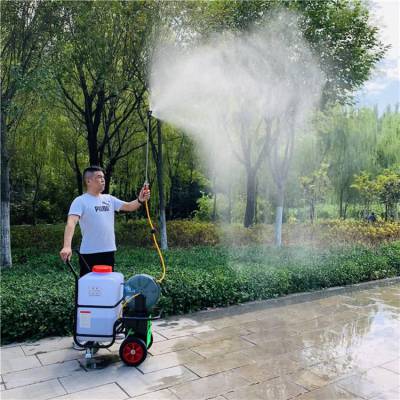 厂家双泵60l电动喷雾器自动收管手推喷雾器大棚菜园喷药机