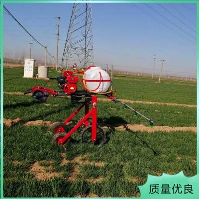 ũͶҩ ʽС ũҩ
