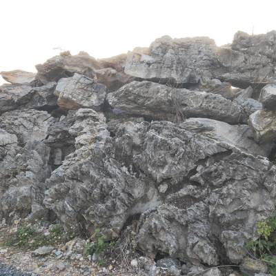 供应茂名 假山石 风景石 英石假山石