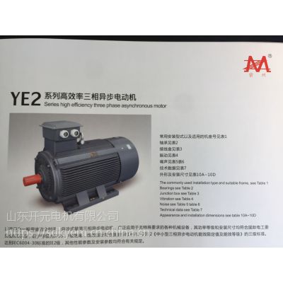 YE2-355L2-4-355KW