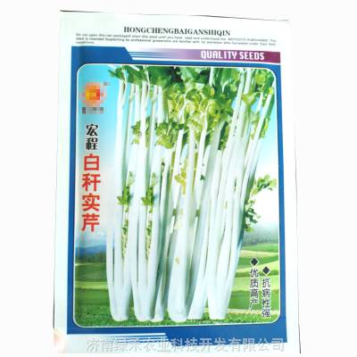 白杆芹菜种子实心优质高产叶柄白杆分枝少香味浓郁露地栽培