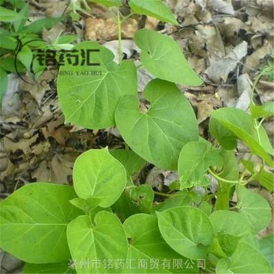 中药材飞来鹤野生产地大货药食同源散装无杂质上千种中药材