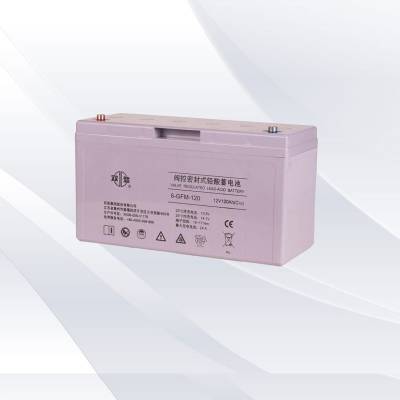 双登蓄电池6-GFM-120铅酸免维护12V120AH通信机房设备UPS直流屏用