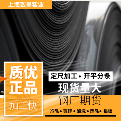 BUSD 冷轧带钢 梯形板可加工 可靠的高质量钢卷 欢迎电询