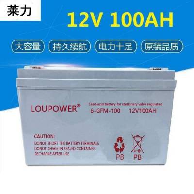 LOUPOWER蓄电池6-GFM-100 12V100AH莱力直流屏 UPS电源专用