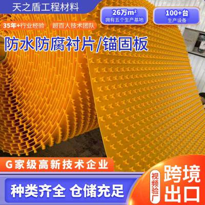 聚乙烯锚固板防腐防渗牢固抗拔HDPE锚固板工程防护优选