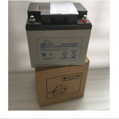 ԭװLEOCHʿ DJW12-24 12V24AH EPS UPS ר