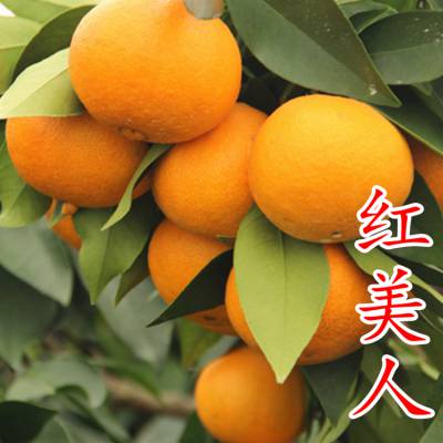 ˰28磬Ʒֹ1-4ṩֲ