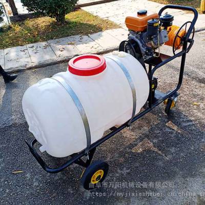 农用手推式汽油打药机 植保机械果园菜园打药机拉管喷雾器