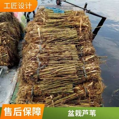ֱ«έ糧ֱ ֱ ֱֻ Ʒȫ