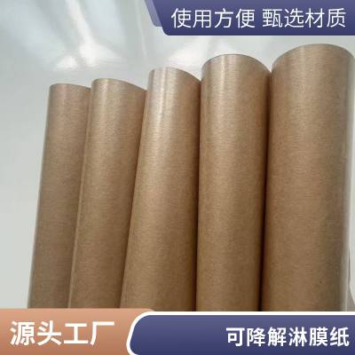 淋膜纸 单双面食品级 本色卷筒牛皮纸 防油防水