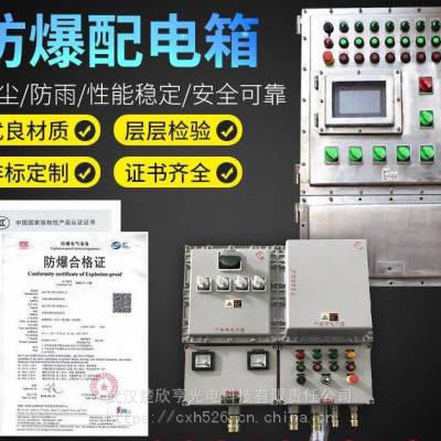 BXM防爆照明配电箱 BXM不锈钢防爆配电箱 BXD非标定做防爆箱