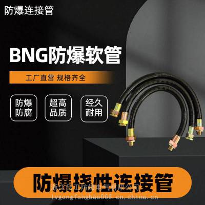BNG防爆软管挠性连接管DN15电线穿线管4/6分接线绕线管定制挠性管