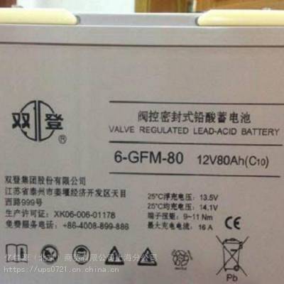 ˫6-GFM-80۸ ˫12V80AHǦάEPS UPSԴ ֱר