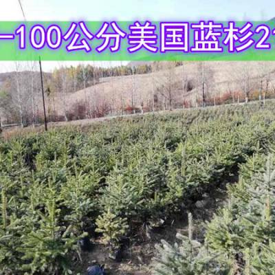 60-120ɼ30*30
