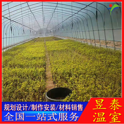 春秋棚冷棚钢架薄膜大棚蔬菜种植昱泰温室材料YTWSCQ1501