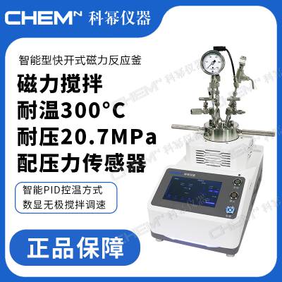 科幂仪器 NSI智能型快开式磁力搅拌高压反应釜