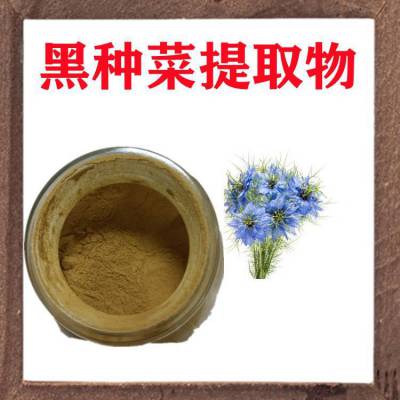 黑种草提取物 斯诺特生物 喷雾干燥粉 可分装样品测试