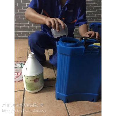 广州除四害/专业杀虫灭虫 价格优惠，服务优质