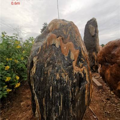 校园题字石 大型黄蜡石 广场石 村牌石价格