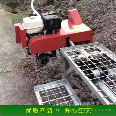 е䳵 ɽ䳵