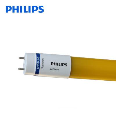Philipsֻƹƹ20T8 LEDƹ