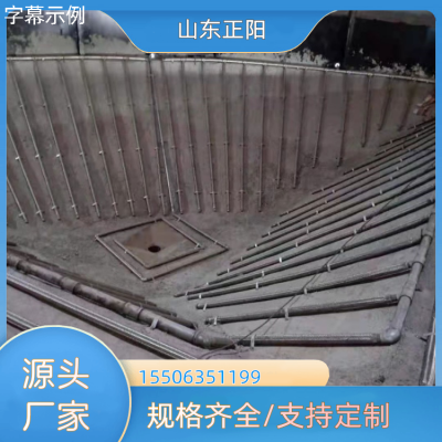 规格DN50长度0.5米类型库底气化管高效工业仓储难题 系列 DN32