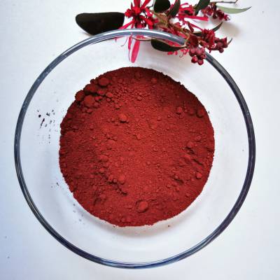 伽马氧化铁红 分析纯纳米三氧化二铁 试剂用高纯超细棕红色粉末