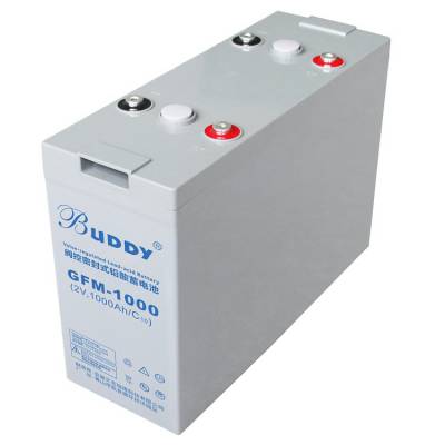 BUDDY GFM-1000 ֱ2V1000AH  UPSӦ