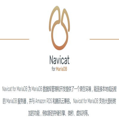 İNavicat_Navicatݿ