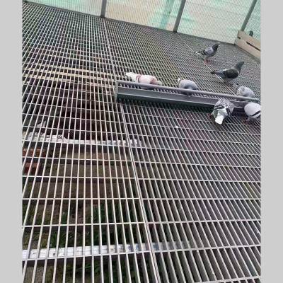 鸽子漏粪挡板 玻璃钢长条型漏粪板 25mm厚长条挡板