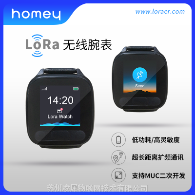 LoRa健康定位通知腕表