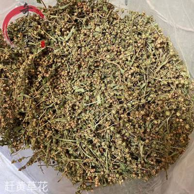 中药材赶黄草花-赶黄草花药材实物实拍