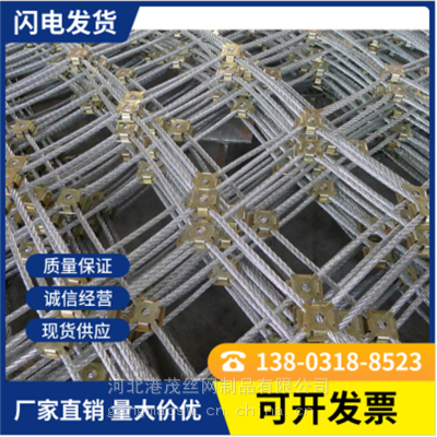 护坡安全钢丝绳网 山体主动边坡网 山体主动环形防护网价