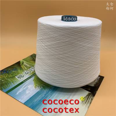 cocoeco Ҭ̿˿ Ҭ̿ɴ Ҭ̿˿ ־  Զ 