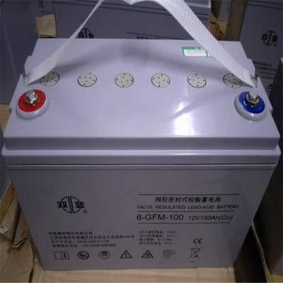 双登蓄电池6-GFM-100免维护电瓶12V100AH阀控式铅酸直流屏UPS电源