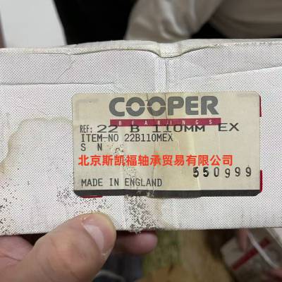 SKFʷ ͲעͲ Ӣ Cooperʷ COP.02EB200EX
