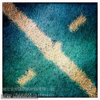 ݳҹӦƺ
