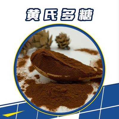 黄芪提取物 食品级营养强化剂 棕黄色粉末 高含量黄芪多糖