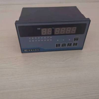 XTMF(H)-100智能数显调节仪 热电阻PT100输入型显示表