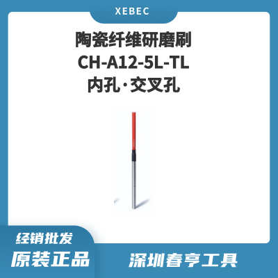 Xebec锐必克 5mm内孔·交叉孔研磨刷 CH-A12-5L-TL 陶瓷纤维刷（红色）